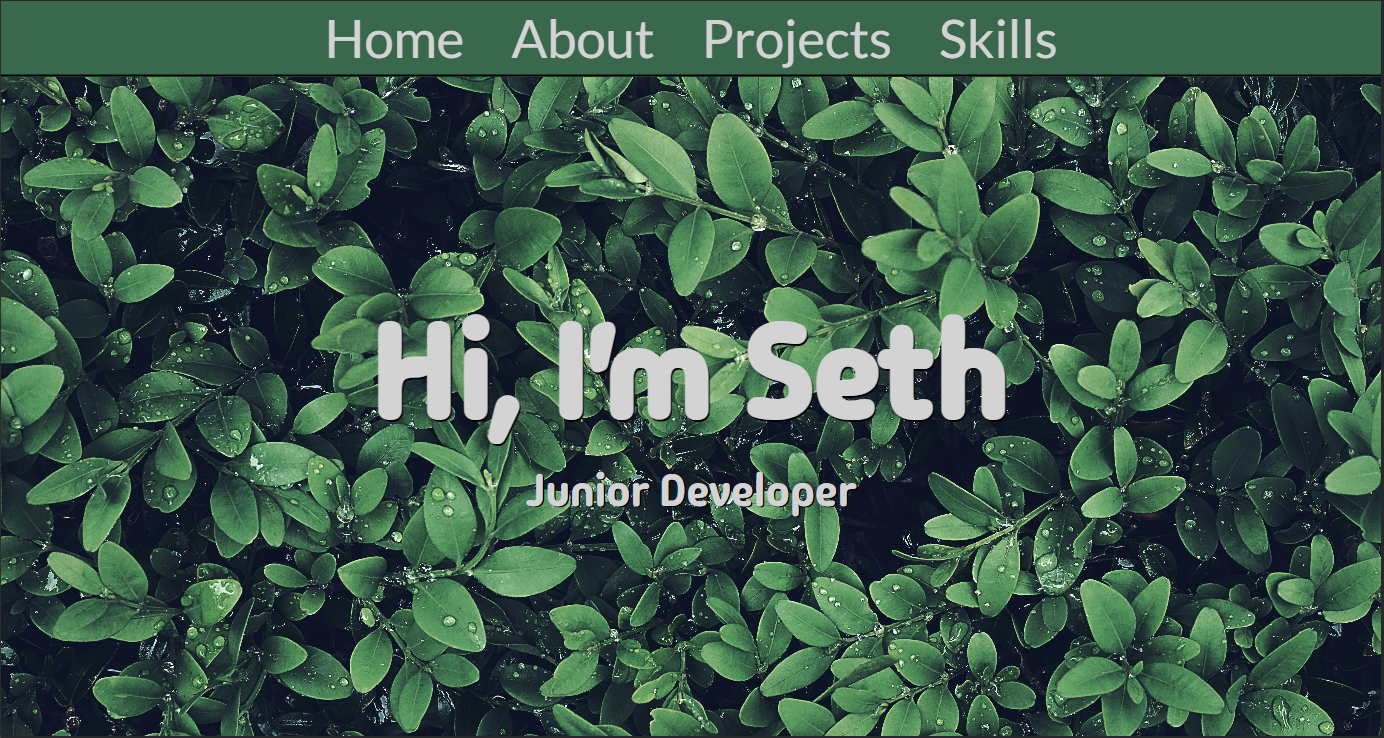 portfolio image